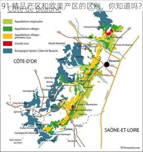 91 精品产区和欧美产区的区别，你知道吗？