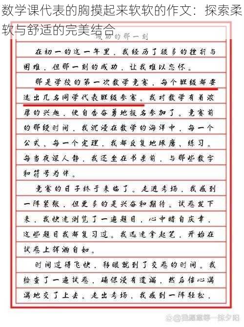 数学课代表的胸摸起来软软的作文：探索柔软与舒适的完美结合