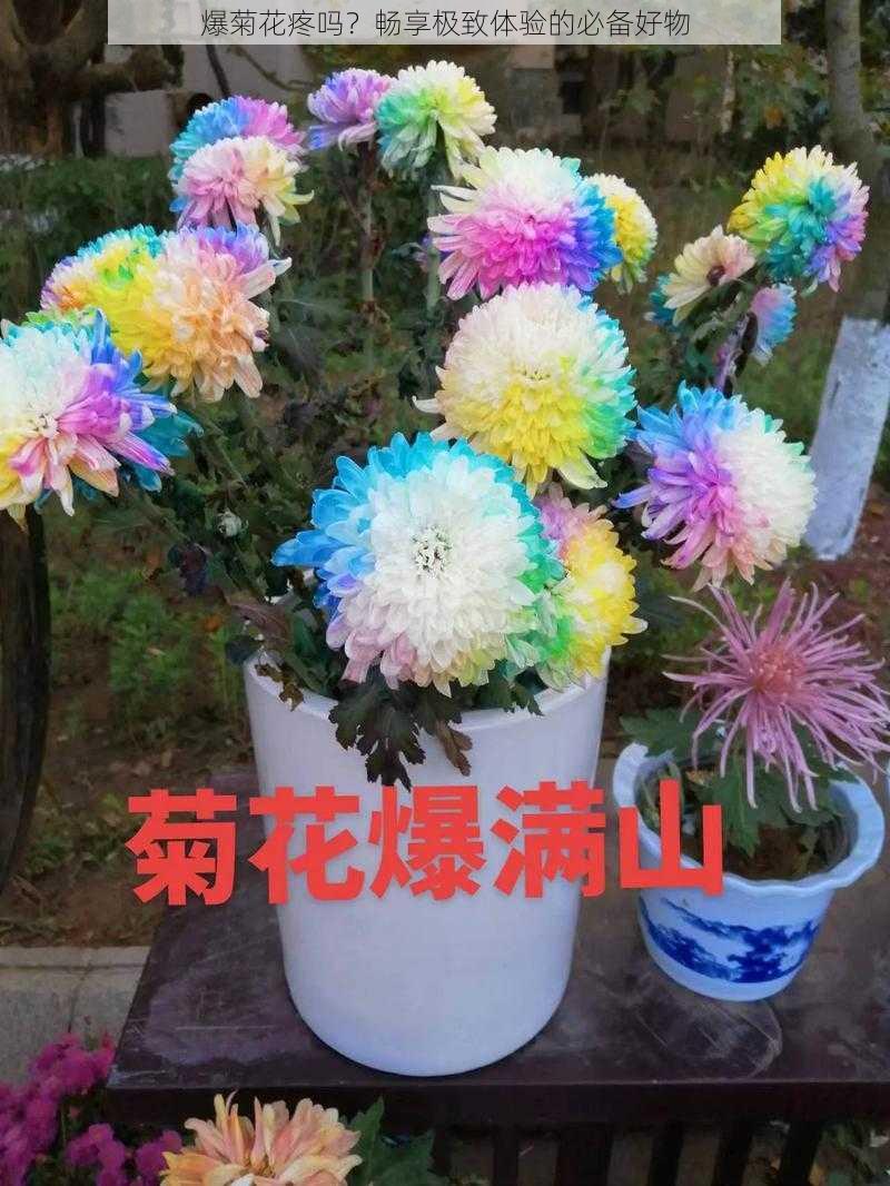 爆菊花疼吗？畅享极致体验的必备好物