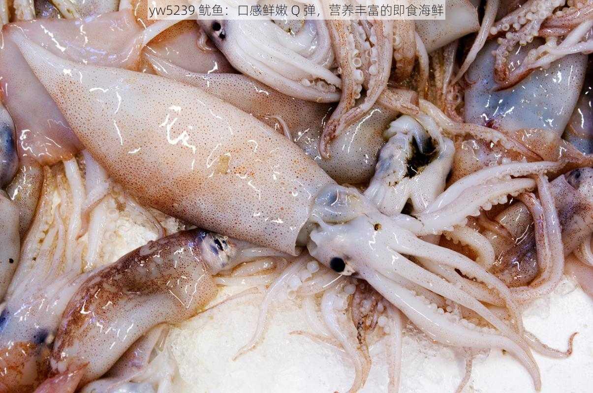 yw5239 鱿鱼：口感鲜嫩 Q 弹，营养丰富的即食海鲜