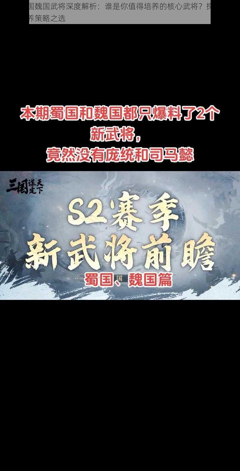 铁杆三国魏国武将深度解析：谁是你值得培养的核心武将？探究魏国武将培养策略之选