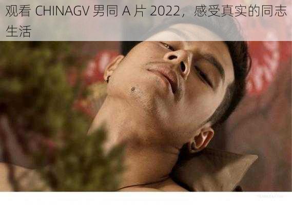 观看 CHINAGV 男同 A 片 2022，感受真实的同志生活