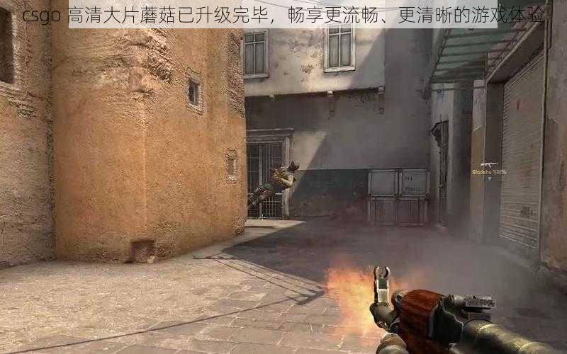 csgo 高清大片蘑菇已升级完毕，畅享更流畅、更清晰的游戏体验