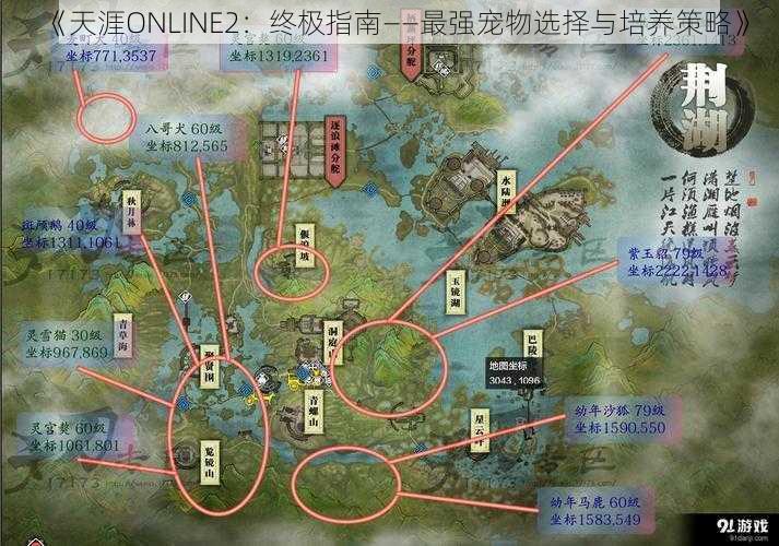 《天涯ONLINE2：终极指南——最强宠物选择与培养策略》