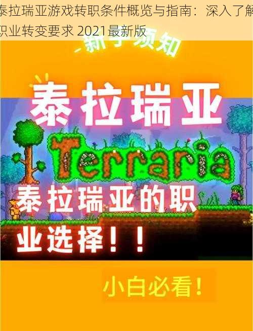 泰拉瑞亚游戏转职条件概览与指南：深入了解职业转变要求 2021最新版