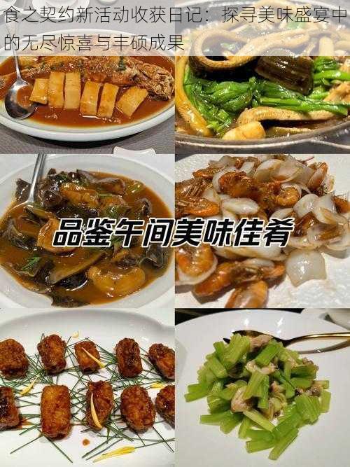 食之契约新活动收获日记：探寻美味盛宴中的无尽惊喜与丰硕成果