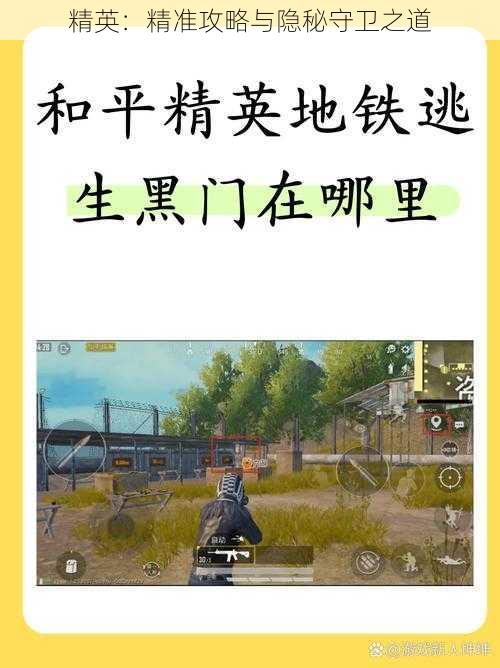 精英：精准攻略与隐秘守卫之道