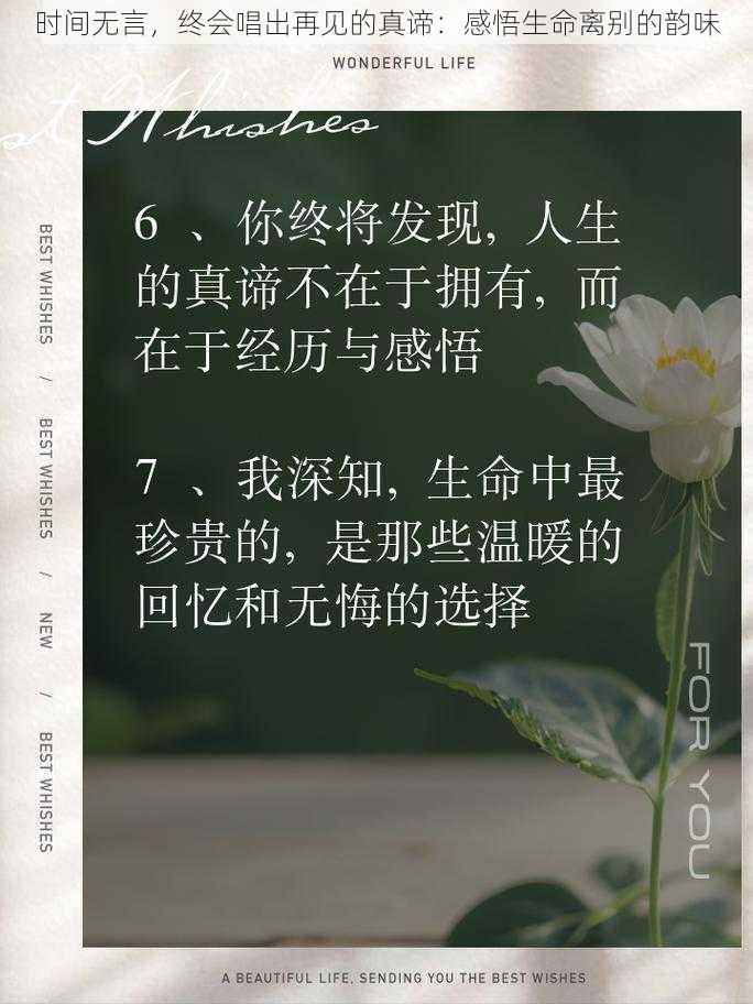 时间无言，终会唱出再见的真谛：感悟生命离别的韵味