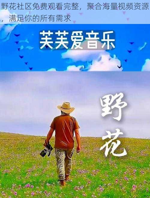 野花社区免费观看完整，聚合海量视频资源，满足你的所有需求