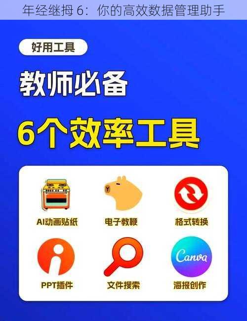 年经继拇 6：你的高效数据管理助手