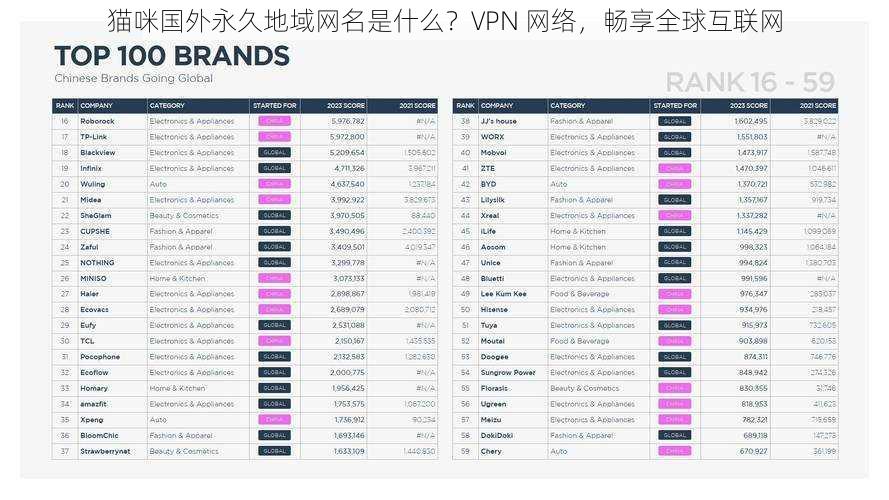 猫咪国外永久地域网名是什么？VPN 网络，畅享全球互联网