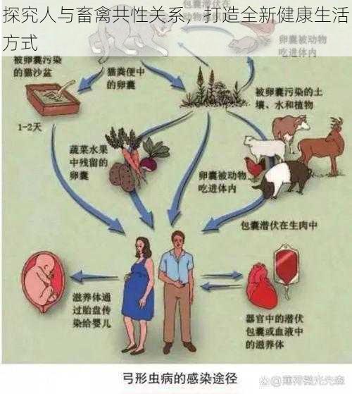 探究人与畜禽共性关系，打造全新健康生活方式