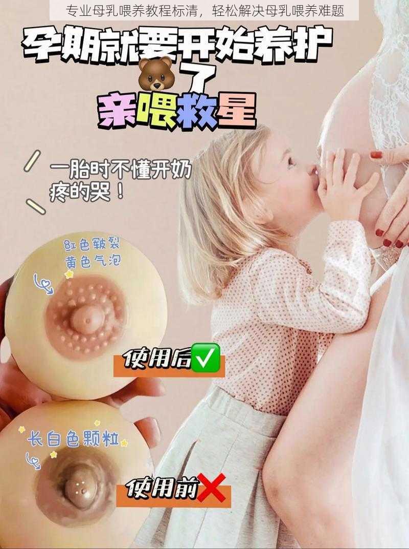 专业母乳喂养教程标清，轻松解决母乳喂养难题