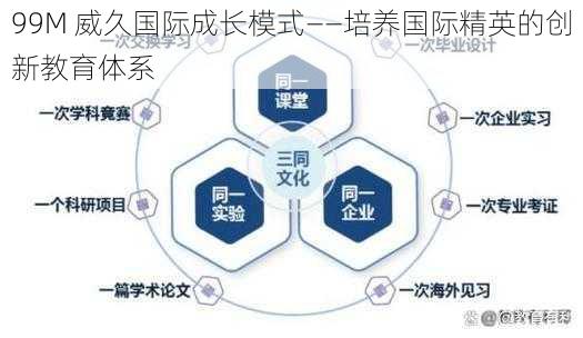 99M 威久国际成长模式——培养国际精英的创新教育体系